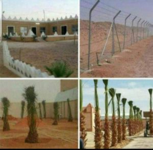 أفضل مقاول شبواك بالرياض