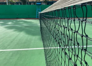 افضل شبوك ملاعب في رياض